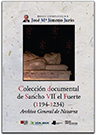 Colecci__n_docum_49e610c8a488a
